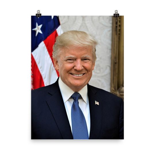 Discover Donald Trump  Portrait Poster Print