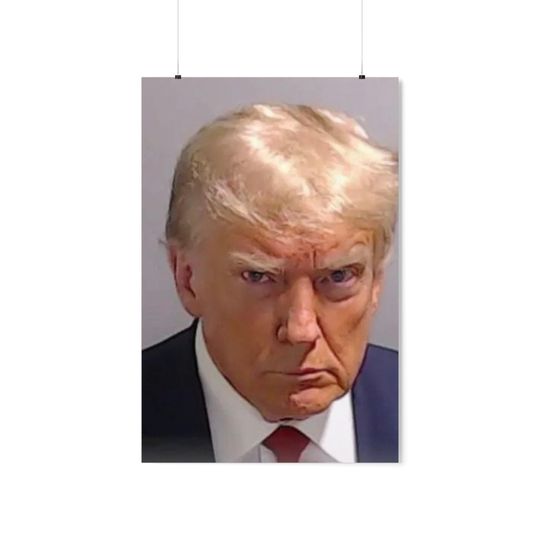 Discover Donald Trump mug shot poster