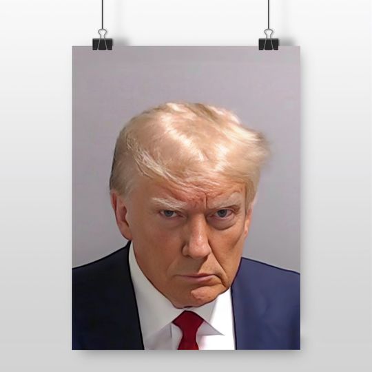 Discover Trump Mugshot Poster Print,  Donald Trump Mugshot Poster