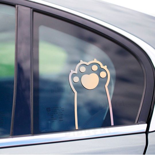 Discover Paw Decal