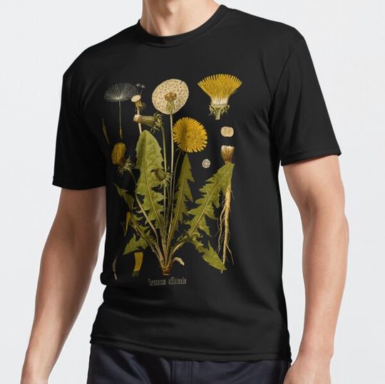 Discover Dandelion