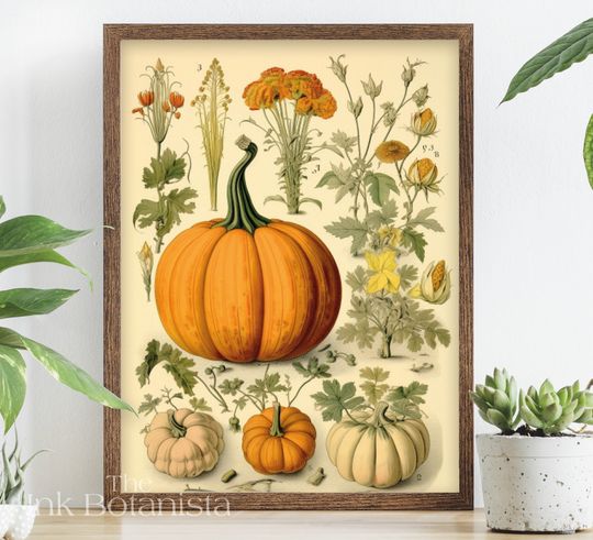 Discover Vintage pumpkin print, autumn plant chart, halloween plant poster