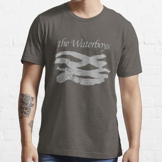 Discover The Waterboys