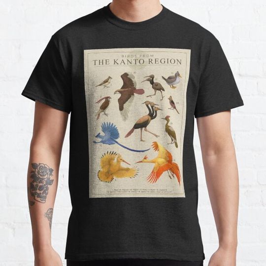 Discover Birds of Kanto