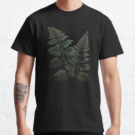 Discover Fern Leaves Botanical Illustration