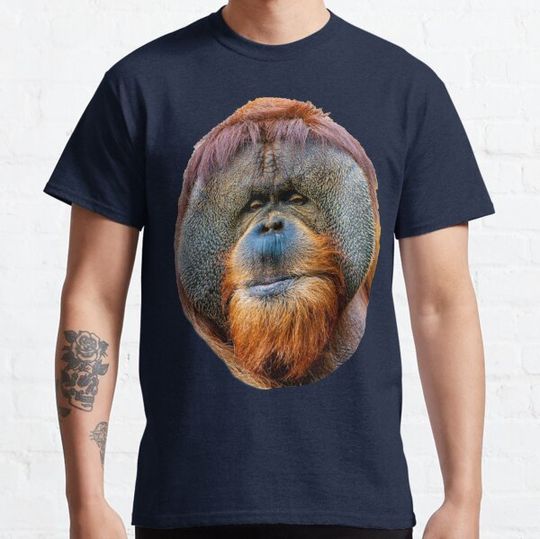Discover Orangutan face
