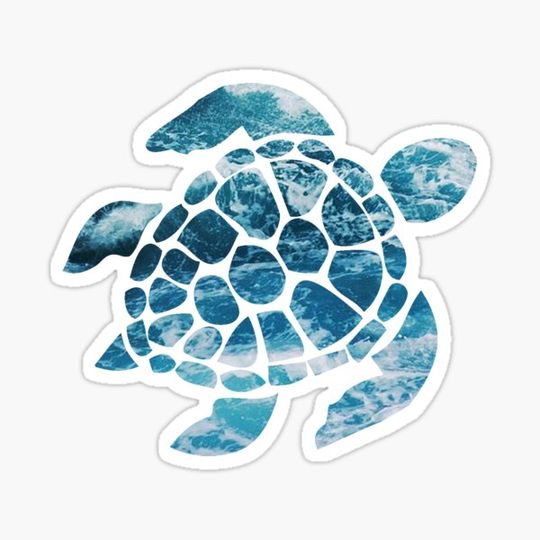 Discover Ocean Sea Turtle
