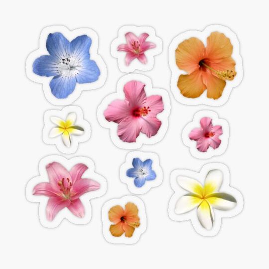 Discover tropical flowers