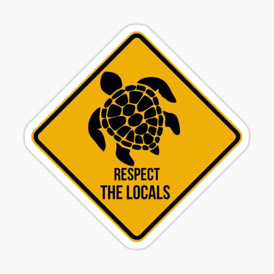 Discover Save The Turtles