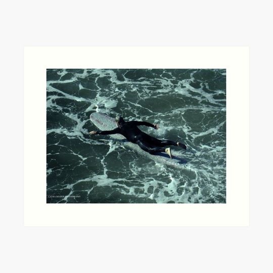 Discover SURFER 6