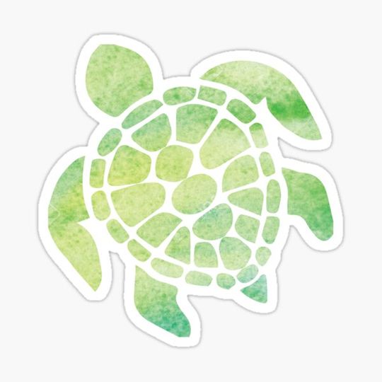 Discover Watercolor Sea Turtle
