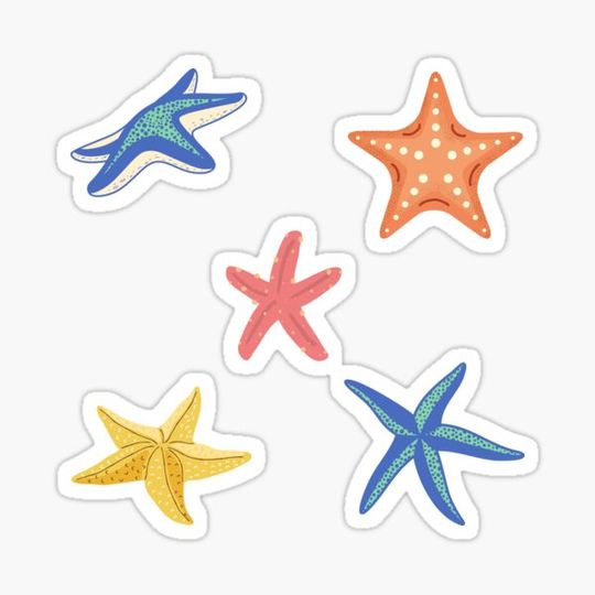 Discover starfish seastar pack