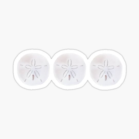 Discover Sand Dollar Line