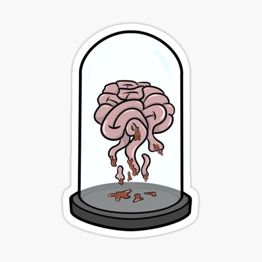 Discover Brain