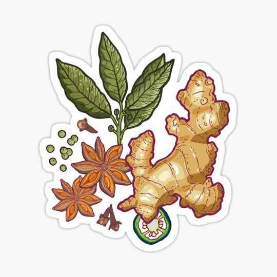 Discover Ginger and anise