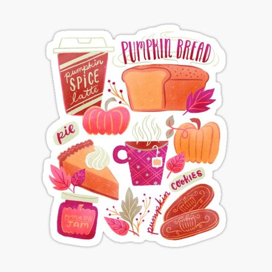 Discover Pumpkin Spice is Nice