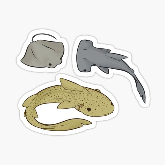 Discover Sea Critter Sticker Set 1