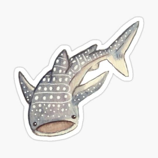 Discover Whale Shark - Watercolour