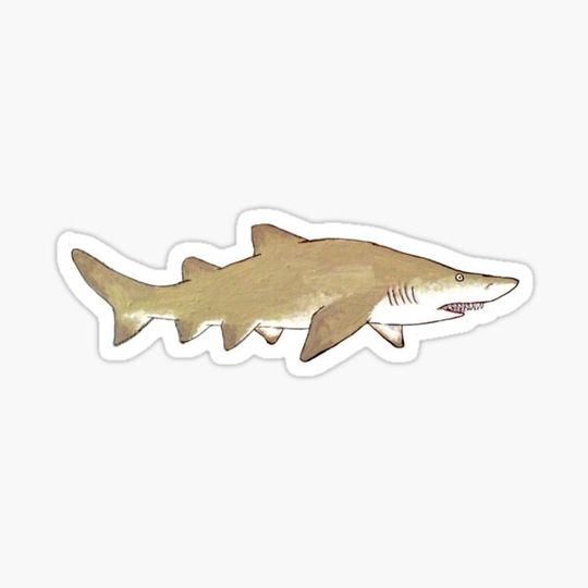 Discover Sand Tiger Shark