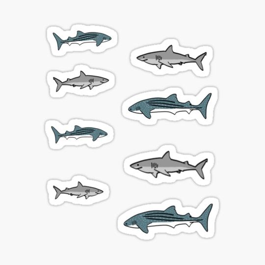 Discover Shark Pack