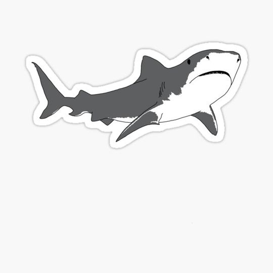 Discover Great White Shark Digital Art