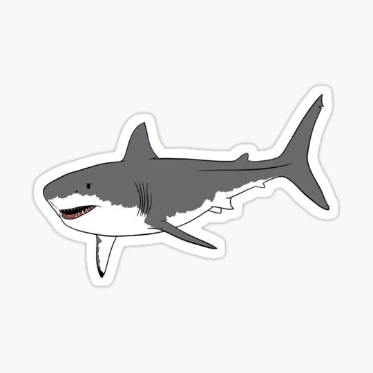 Discover Great White Shark