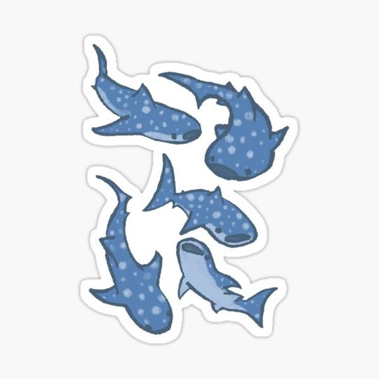 Discover Whale Sharks