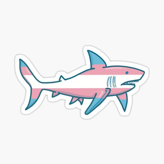 Discover Trans shark