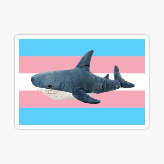 Discover BLAHAJ SHARK TRANS FLAG