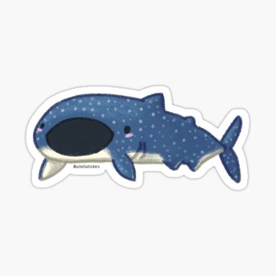 Discover Whale Shark