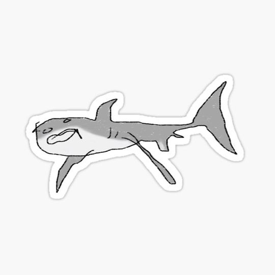 Discover Shark