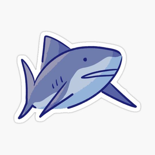 Discover Shark