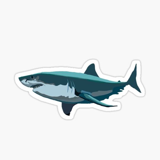 Discover Shark