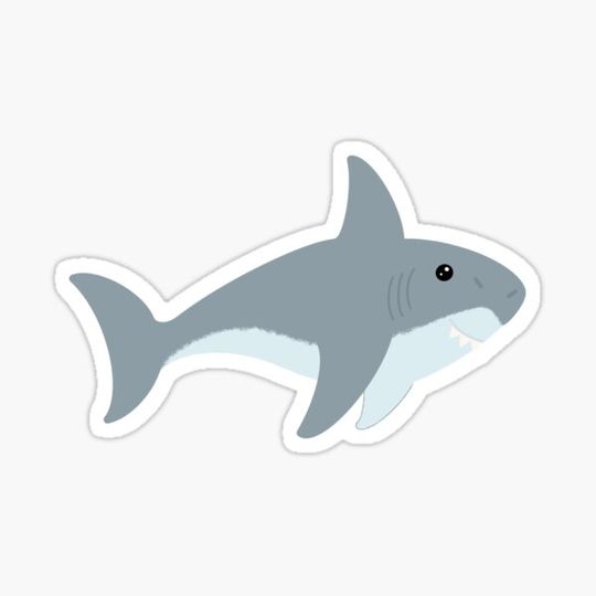 Discover Shark