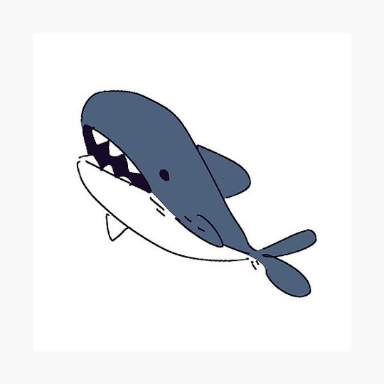 Discover The Best Shark You'll Ever See