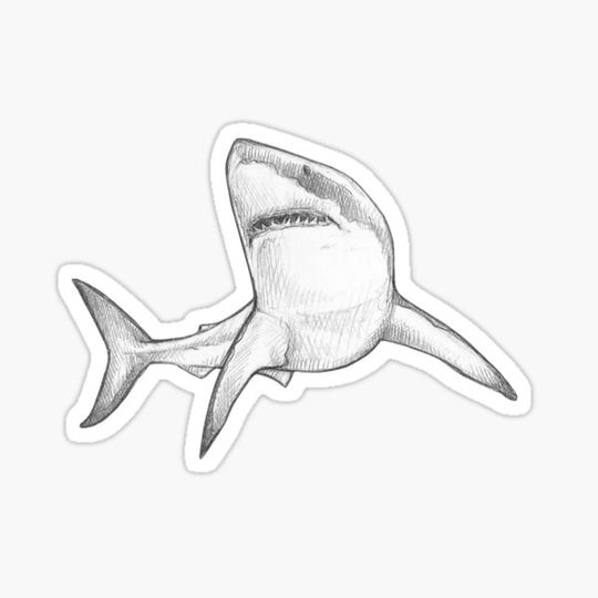 Discover Great White Shark III - Monochromatic Pencil Line Sketch - Drawing by MadliArt