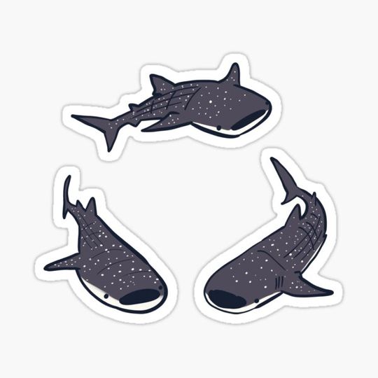 Discover Shark whale art pack