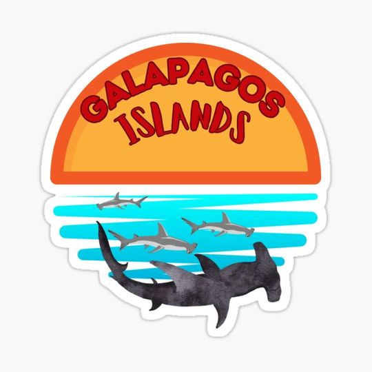 Discover Galapagos Islands - Ecuador - Hammer head sharks