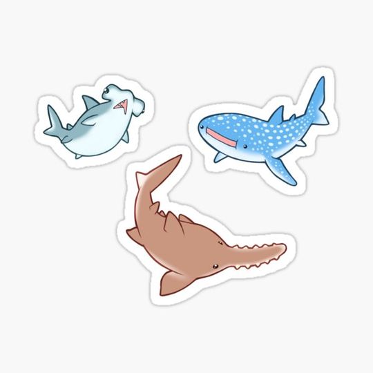 Discover Sharkies