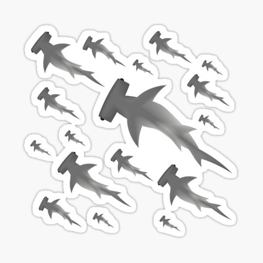 Discover School of hammerhead sharks