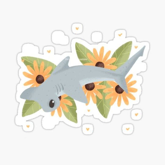 Discover Hammer Head Shark