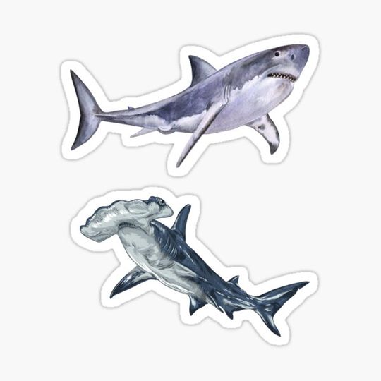 Discover Great White and Hummerhead Shark Watercolor