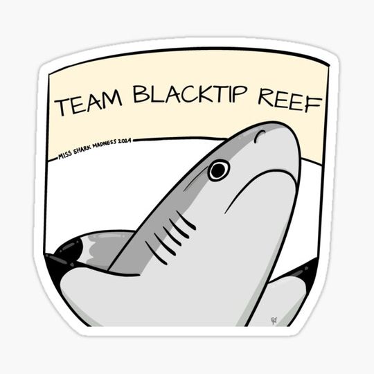 Discover Team Blacktip Reef
