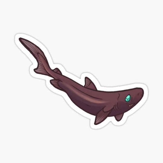 Discover Dwarf Lantern Shark