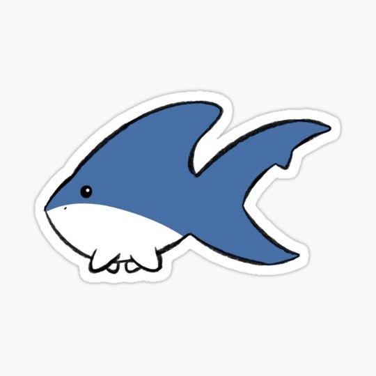 Discover Cute Lil Shark