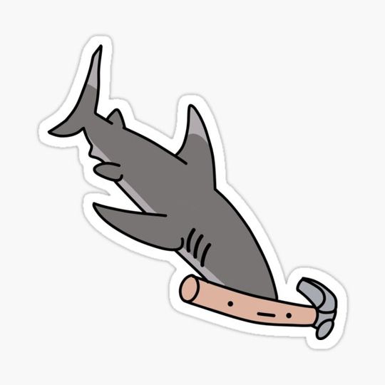 Discover Hammer-head Shark