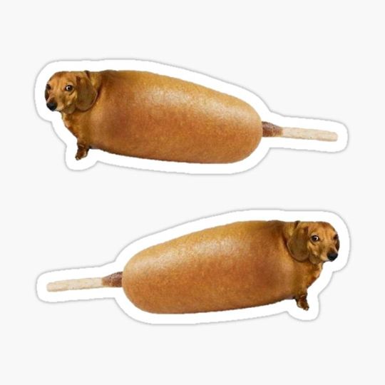 Discover Corndogs