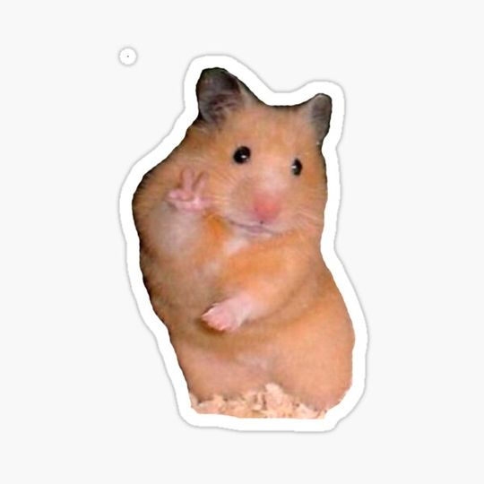 Discover Hamster peace sign meme