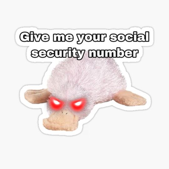 Discover Webkinz waddles give me your social security number meme