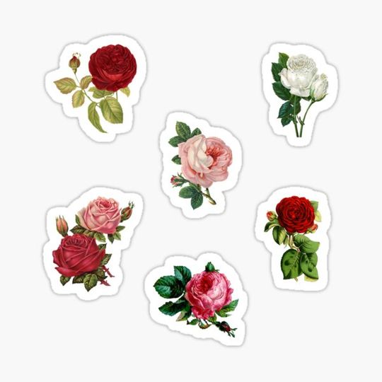 Discover Vintage Roses pack